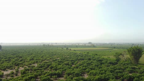 Drone-rises-above-in-the-foggy-sky-over-agricultural-fields-and-green-farms-that-go-into-the-distant-horizon