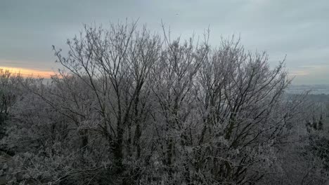 Slow-motion-cinematic-aerial-drone-footage-of-trees-in-winter-without-leaves-and-coverd-in-freezing-frost