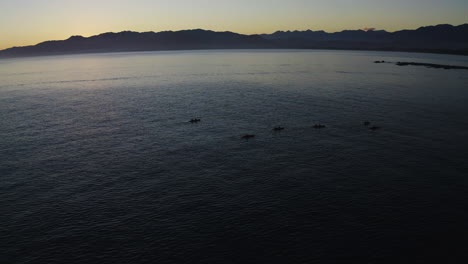 Kajakfahren-Im-Meer-Bei-Kiakoura,-Neuseeland,-Während-Eines-Wunderschönen-Sonnenuntergangs-Mit-Freunden-Am-Meer-Entlang
