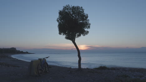 time-lapse-shot-captures-a-tree-and-a-mountain-bike-by-the-seaside-as-the-sun-rises-in-a-coastal-town