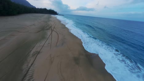 Cinematic-wild-nature-aerial-4K