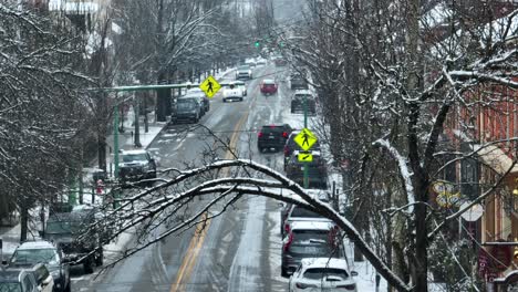 Long-aerial-zoom-of-snow-on-tree-branch-with-long-street