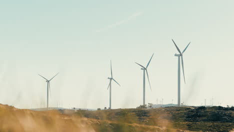 A-wide-shot-of-wind-turbines-surrounded-by-lush-greenery,-a-symbol-of-the-harmony-between-technology-and-ecology-in-the-pursuit-of-clean-energy