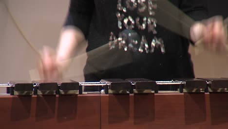 Musiker-Spielt-Lied-Auf-Marimba-Instrument,-Junge-Weibliche-Statische-Aufnahme