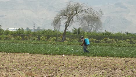 Un-Hombre-Caminando-En-El-Campo-Agrícola-Rociando-Pesticidas