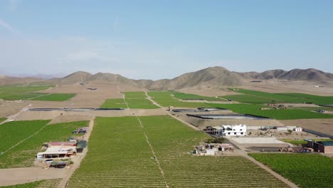 Green-agricultural-fields-in-a-desert-valley,-the-Andes-mountain-range-is-behind-in-the-background