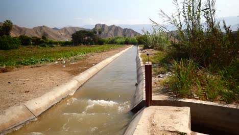 An-irrigation-ditch-with-water-rushing-by,-on-the-side-is-a-green-agricultural-field-further-in-the-background-are-trees-and-the-andes-mountain-range