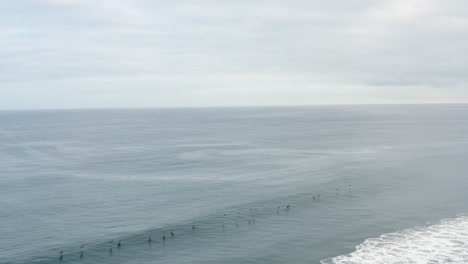 Cinematic-drone-shot-of-birds-flying-over-the-ocean