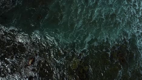 Dark-Ocean-Waves-Filmed-from-Above---Nova-Scotia