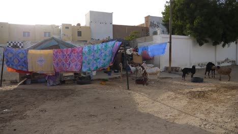 Ländliche-Vororte-Von-Nouakchott,-Mauretanien