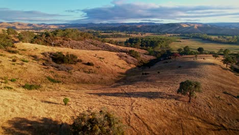Aerial-over-beautiful-morning-lit-gullies-trees-and-hills-near-Thornton-Victoria