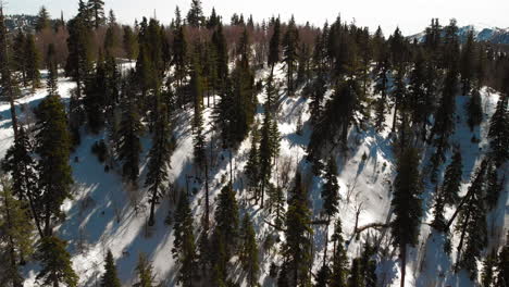 Drohnenschuss-über-Den-Schneebedeckten-Bäumen-Mit-Nebligen-Bergen-Im-Hintergrund