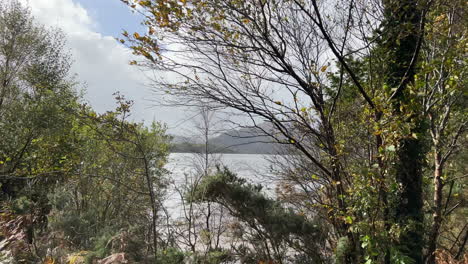 Spaziergang-Entlang-Der-Küste-Des-Muckross-Lake-An-Einem-Bewölkten-Tag,-County-Kerry,-Irland