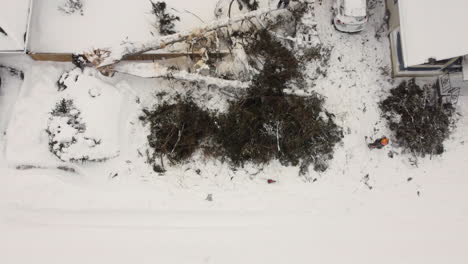 Winter-Snow-Blizzard,-Aerial-Drone-Above-Fallen-Tree-at-Fort-Erie,-Ontario,-Canada,-Iced-Town,-Cars-and-Houses,-Crystallised-City