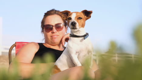 Very-alert-and-cute-Jack-Russell-terrier-sits-on-woman's-lap