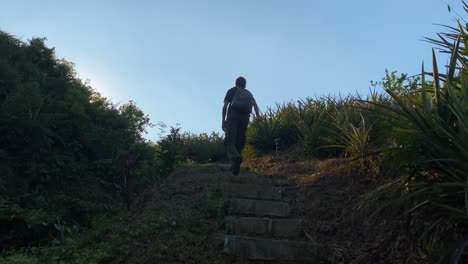 Man-in-nature-climbing-steps-in-pineapple-garden-field,-Sylhet,-golden-hour