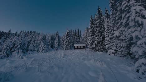 Cinematic-flight-between-snowy-fir-trees-on-hill-with-hiker-hut-in-the-morning-after-snowfall-in-Norway