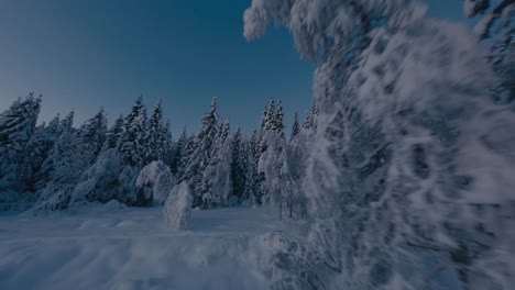 Langsamer-Luftflug-Durch-Verschneite-Waldlandschaft-Im-Winter-Bei-Blauem-Himmel
