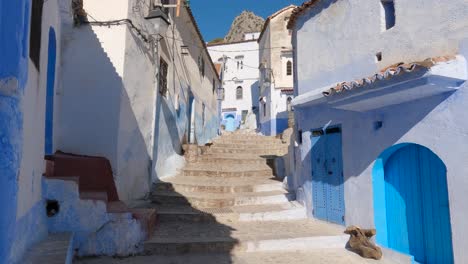 Quaint-architecture-and-blue-doors-of-touristic-city-Chefchaouen,-Morocco