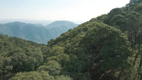 Aerial-view-of-wild-forest-in-mountain-range,-beautiful-mountain-scenery,-establishing-flyover