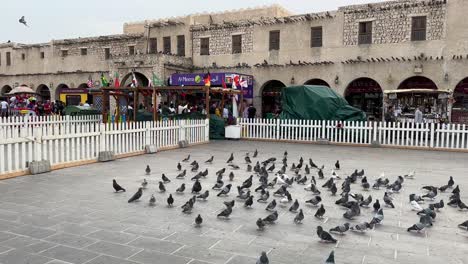 Pigeon-feeding-in-outdoor-in-Doha-Qatar-old-city-in-peace-relax-calm-condition-Msheireb-Down-town-offers-local-traditional-authentic-hospitality-and-culture-of-people-lifestyle-handicraft-street-food