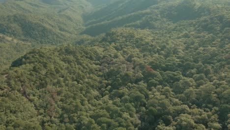 Aerial-view-of-incredible-forest-jungle-in-the-mountains,-amazing-morning-mountain-landscape,-establishing-shot