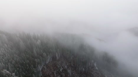 Nubes-Bajas-Y-Niebla-En-Un-Valle-Sobre-árboles-Cubiertos-De-Nieve-Blanca-En-El-Bosque-De-Bucegi,-Rumania