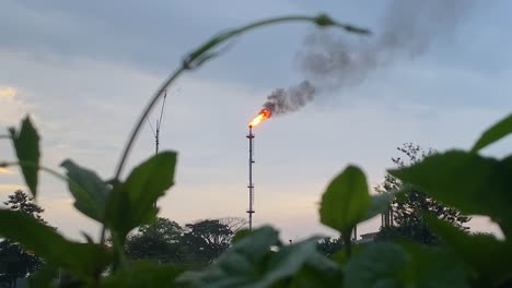 Fire-on-flare-stack-at-oil-and-gas-central-processing-platform,-pollution-concept-with-plants-in-foreground