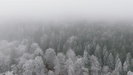 Wolken-Fliegen-über-Die-Schneebedeckte-Szene-Des-Grünen-Winterwaldes-In-Den-Bucegi-Bergen,-Rumänien