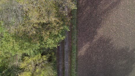 Top-view-drone-footage-of-country-road-and-tree-with-autumn-colors-taken-at-place-called-Uetz-in-Brandenburg,-Germany