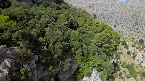 Drone-opening-shot-mallorca-mountains-Serra-de-Tramuntana-balearic-island-in-backround-mediterranean-sea