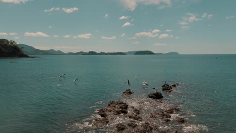 Pelikane-Auf-Den-Felsen-Am-Strand-In-Guanacaste,-Costa-Rica---Luftdrohnenaufnahme
