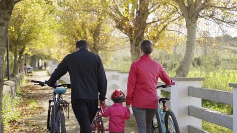 Familie,-Eltern-Und-Kinder,-Die-An-Einem-Sonnigen-Tag-Mit-Ihren-Fahrrädern-Einen-Weg-Entlang-Gehen