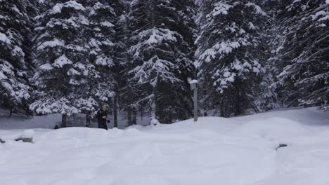 Photographer-in-Banff-National-Park,-Winter-Landscape,-Snowfall,-4K