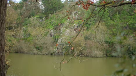 Blattlose-Bäume-In-Einem-Waldpark-Am-See-Étang-Saint-Nicolas-In-Angers,-Frankreich-Im-Winter