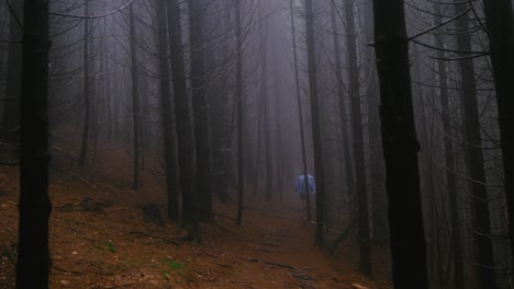 Panning-right-wide-scene-shot-of-two-hikers-walking-within-a-dark-forest-with-dried-trees-and-a-trail-covered-with-amber-leaves