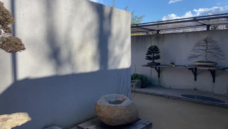 Awesome-different-kind-of-Japanese-bonsai's-exposed-in-outdoor-garden-in-Madrid,-Spain