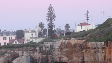 Wide-view-of-a-green-and-tall-tree-over-beach-near-city-streets-and-Portuguese-houses