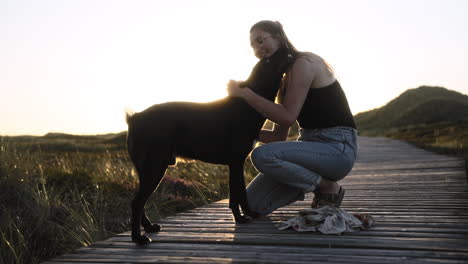 Zeitlupenvideo-Einer-Interaktion-Zwischen-Besitzerin-Und-Hund-Bei-Sonnenuntergang