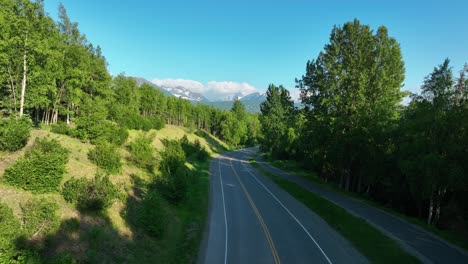 Sol-Sobre-El-Denso-Bosque-Junto-A-La-Carretera-En-Anchorage,-Alaska