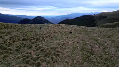Drone-shot-of-a-woman-running-with-her-dog-at-a-mountain-range-while-the-drone-circles-around-them