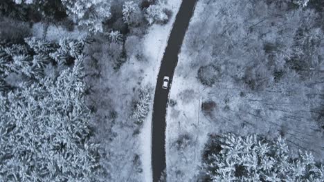 Top-down-drone-view-of-White-Car-driving-through-a-Forest-covered-with-snow-in-the-Kashubian-District,-Poland