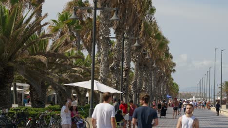 People-walking-on-hot-summer-day-next-to-beach,-promenade-with-palm-trees-in-Valencia,-Spain