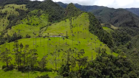 Fliegen-Der-Drohne-über-Das-Cocora-Tal-In-Kolumbien
