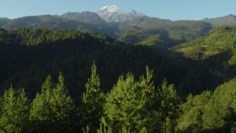 Imágenes-De-Un-Grupo-De-árboles-Revelando-El-Majestuoso-Paisaje-De-Las-Colinas-Que-Rodean-Un-Volcán