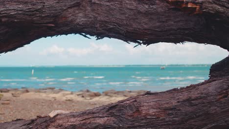 A-gorgeous-tropical-blue-ocean-beyond-a-rocky-beach-through-the-crack-of-a-dead,-rotting-tree-branch-under-a-sunny,-warm-sky
