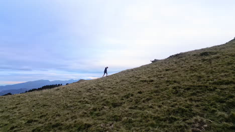 Drone-shot-of-a-woman-and-her-dog-walking-on-the-top-of-a-mountain-range-with-a-view-on-the-mountain-range-and-the-cows-behind