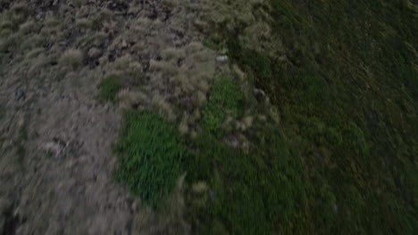 Drone-shot-top-down-on-the-gras-of-a-field-and-then-panning-to-the-mountain-range