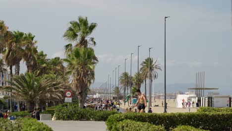 People-rollerskating-and-walking-on-hot-summer-day,-promenade-with-palm-trees-next-to-Valencia-beach,-Spain