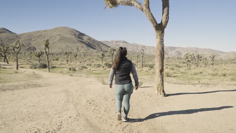 Chica-Fotografiando-El-Parque-Nacional-Joshua-Tree-Desert-California-Con-Una-Cámara-Sony-A1---Alejarse-Plano-General